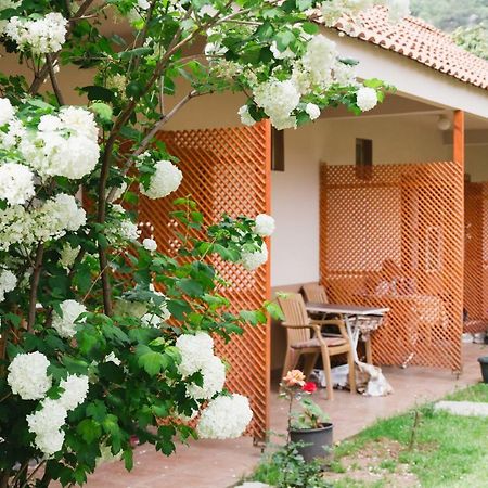 Village Garden Pansiyon Çıralı Buitenkant foto