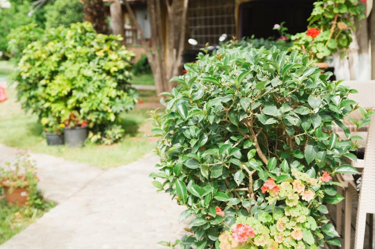 Village Garden Pansiyon Çıralı Buitenkant foto