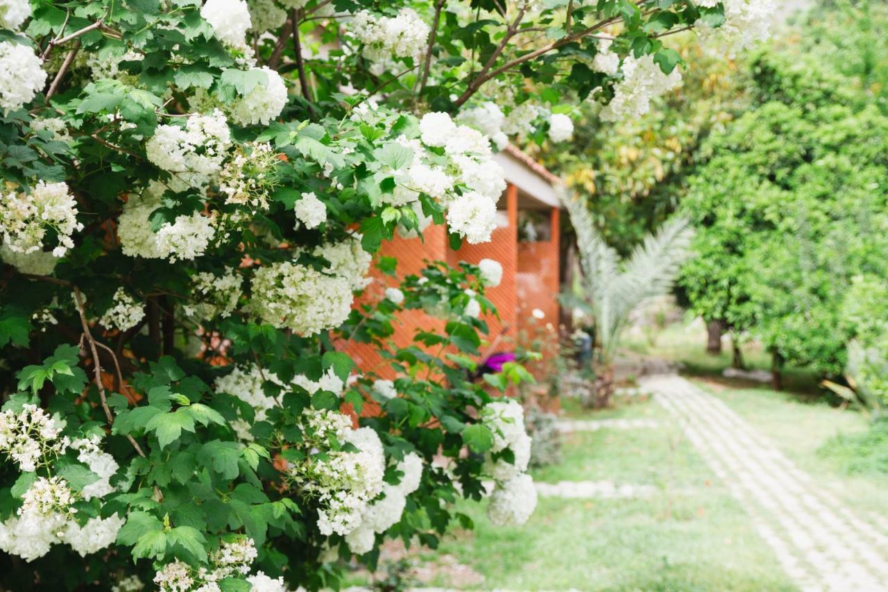 Village Garden Pansiyon Çıralı Buitenkant foto